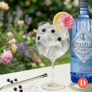 Lire la suite à propos de l’article Recette du Gin Citadelle Tonic
