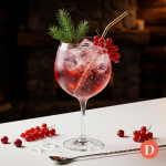 Lire la suite à propos de l’article Recette du Gin Tonic de Noël
