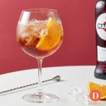 Lire la suite à propos de l’article Recette du Martini Tonic