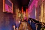 Lire la suite à propos de l’article Meilleurs bars Paris 5ème arrondissement en 2026